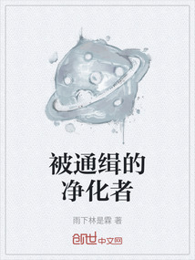 被通緝的凈化者