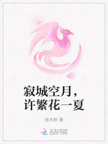 寂城空月，許繁花一夏