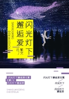 閃光燈下邂逅愛在線閱讀