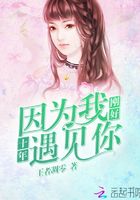 十年：因為我剛好遇見你在線閱讀