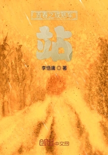 青春之成熟車站