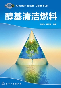 醇基清潔燃料
