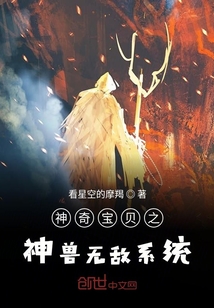 神奇寶貝之神獸無敵系統