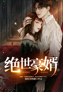 絕世豪婿