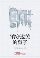 镇守边关的皇子在线阅读