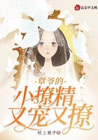 覃爺的小撩精又寵又撩在線閱讀