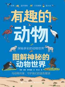 有趣的動(dòng)物:圖解神秘的動(dòng)物世界