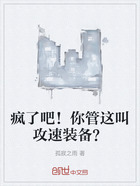 疯了吧！你管这叫攻速装备？在线阅读