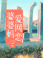 婆婆媽愛網戀在線閱讀