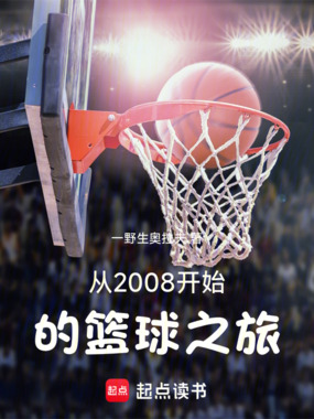 从2008开始的篮球之旅在线阅读