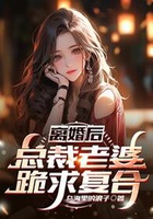 离婚后，总裁老婆跪求复合