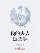 我的夫人是杀手在线阅读