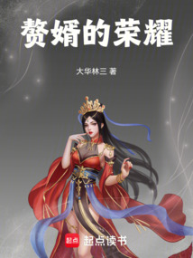 赘婿的荣耀 cover