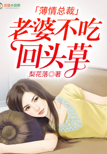 薄情总裁：老婆不吃回头草