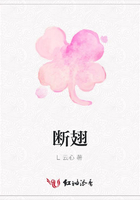 斷翅在線閱讀