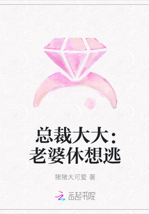 总裁大大：老婆休想逃