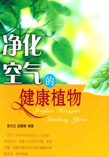 净化空气的健康植物