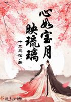 心如宝月映琉璃在线阅读