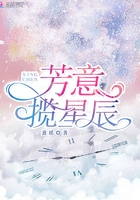 芳意攬星辰在線閱讀