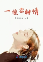 一撞要钟情