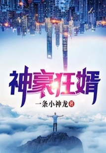 神豪狂婿