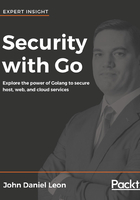 Security with Go在线阅读