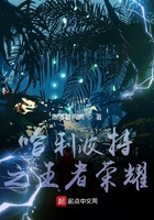 哈利波特之王者荣耀在线阅读