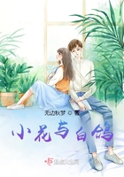 小花與白鴿在線閱讀