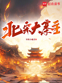 北宋大寨主