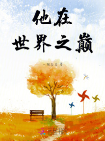 他在世界之巔