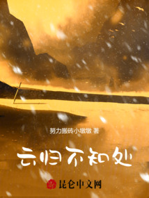 云歸不知處