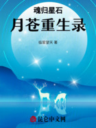 魂归星石：月苍重生录