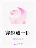 穿越成土匪在线阅读
