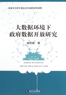 大數據環境下政府數據開放研究