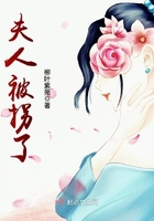 夫人被拐了在線閱讀