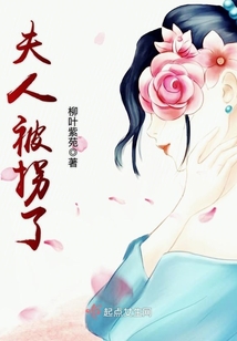 夫人被拐了