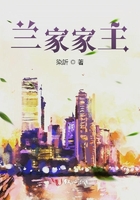 蘭家家主在線閱讀