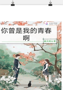 你曾是我的青春啊