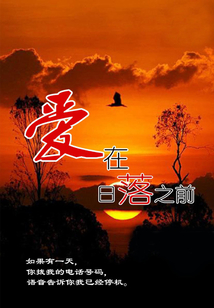 愛在日落之前