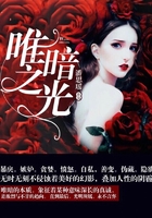 唯暗之光在線閱讀