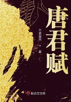 唐君賦在線閱讀