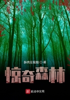 驚奇森林在線閱讀