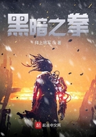 黑暗之拳在线阅读