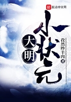 大明小狀元在線閱讀
