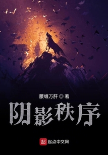陰影秩序