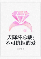 天降坏总裁：不可抗拒的爱