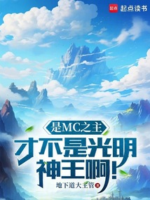 是MC之主,才不是光明神王啊!