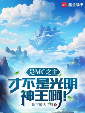 是MC之主,才不是光明神王啊!在线阅读