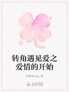 转角遇见爱之爱情的开始在线阅读