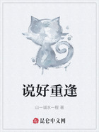 说好重逢在线阅读